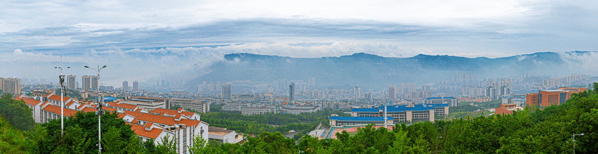 重庆市化学...